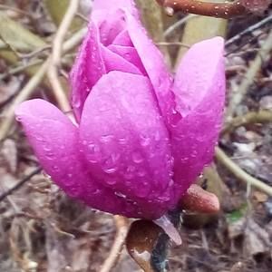 Meet your Posher, Kylee